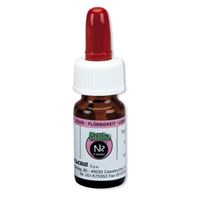 N2 Endodontic Cement 6g tekutina 